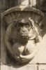 Detail van de gevel: een aapje (© Walther Schoonenberg)