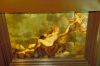 Plafondschilderingen in de voorkamer: de vier seizoenen: de lente (Venus) (Singel 460)